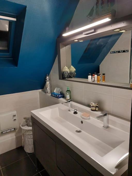 Bel Appartement 50 M2 Aux Portes De Strasbourg De 1 A 5 Personnes Chez Particuliers Avec 2 Sdb Coin Cuisine-Repas Et Kitchinette Prix Negociable Pour 1 Personne Vendenheim Dış mekan fotoğraf